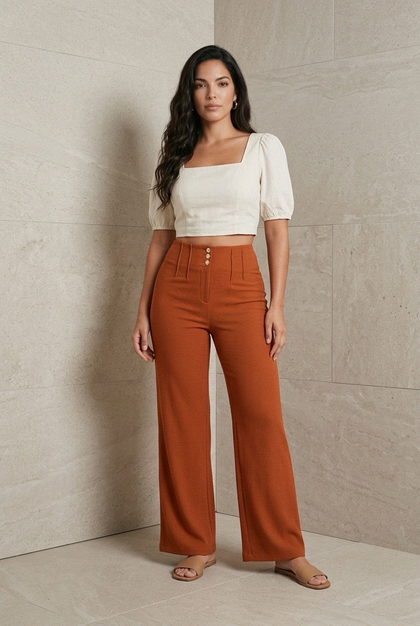 PANTS PONTE